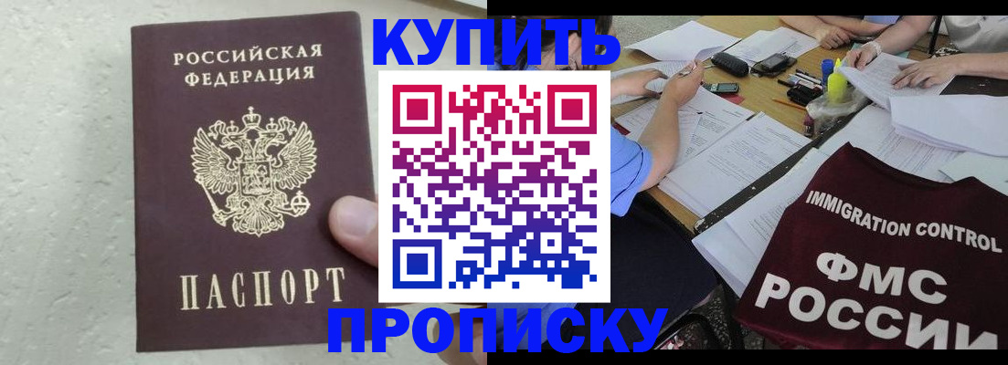 временная регистрация поиск в Александрове